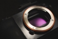 Sony A9 sắp lộ diện: đối thủ đáng gờm của Nikon D5 và Canon 1D X Mark II